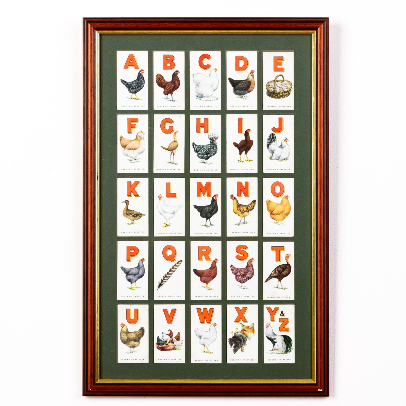 Poultry Cigarette Cards Collection: DIMENSIONS APPROX 28.5x43.5x15CM. Please carefully study all photographs to get an accurate idea of the object. In good condition, as seen. Shipping is in-house and we ship internationally to US and r