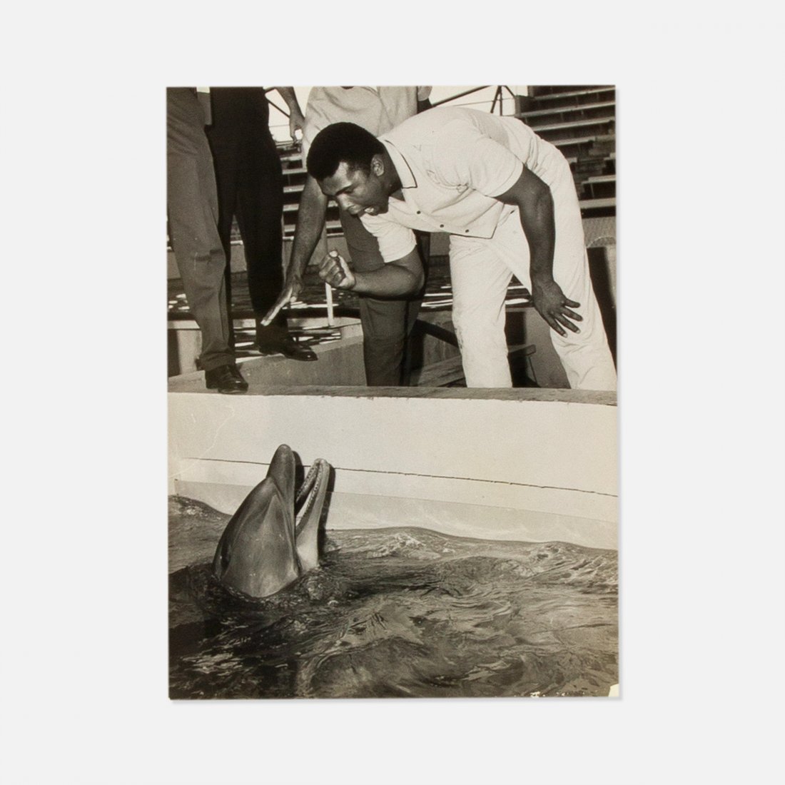Keystone Press Agency, Cassius Clay Meets His Match: USA, c. 1960s press photograph 8" x 6" Press photograph of Cassius Clay and dolphin with typed notes on verso; Keystone Press Agency Provenance: Private Collection, NYC key: muhammad ali, boxing, phot