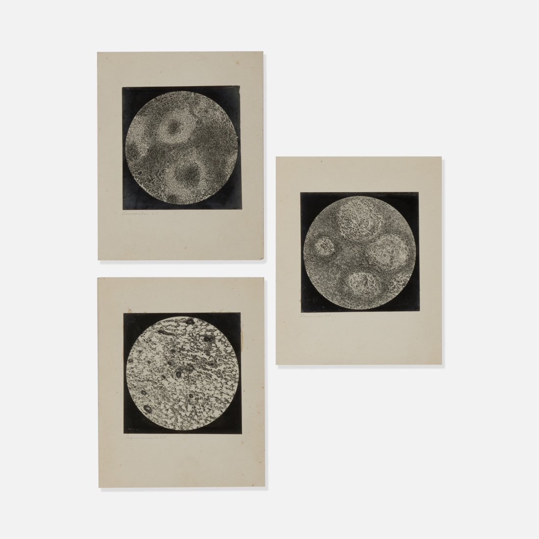 Scientific, Three Molecular Photomicrographs (1 of 1)