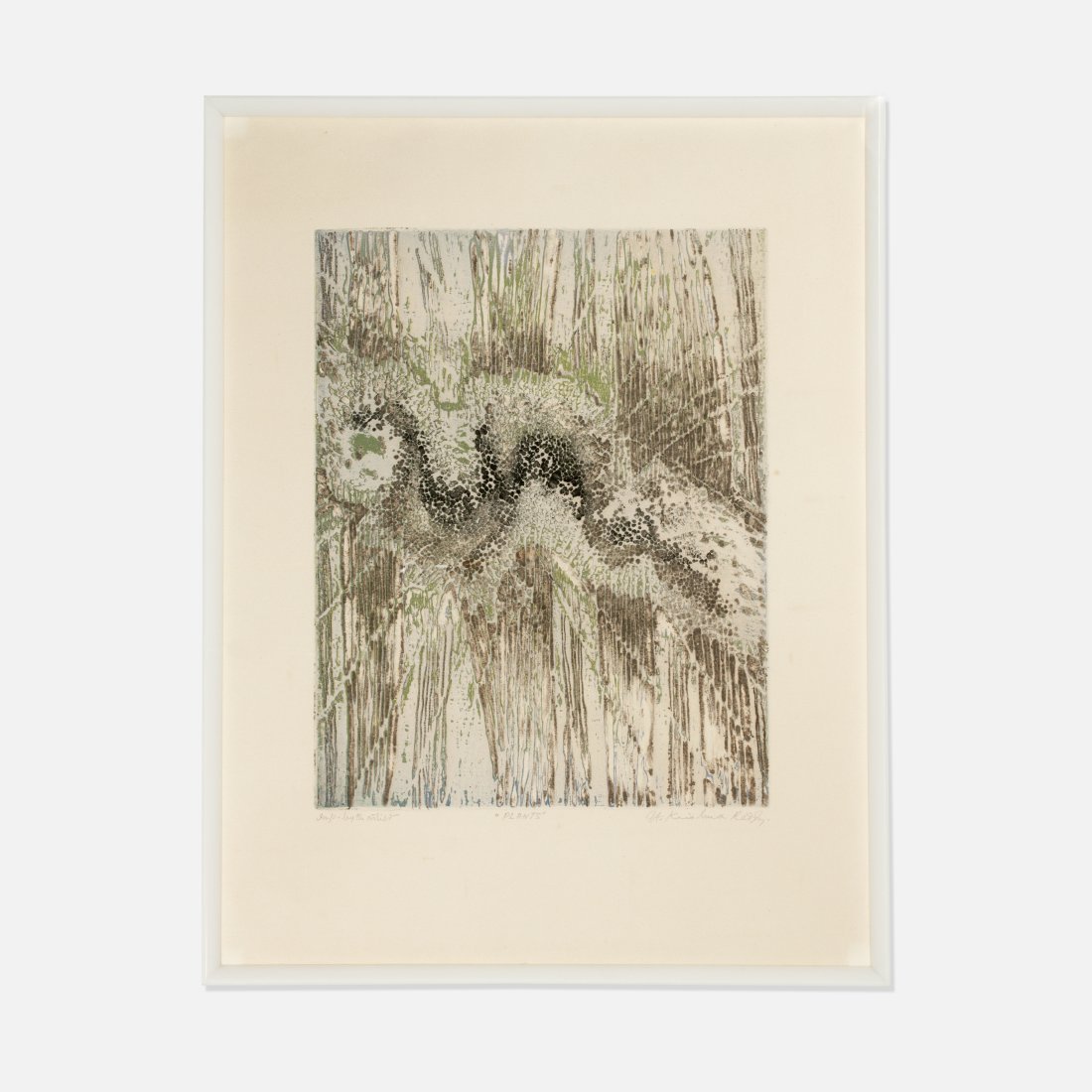 Krishna Reddy, Plants (1 of 1)