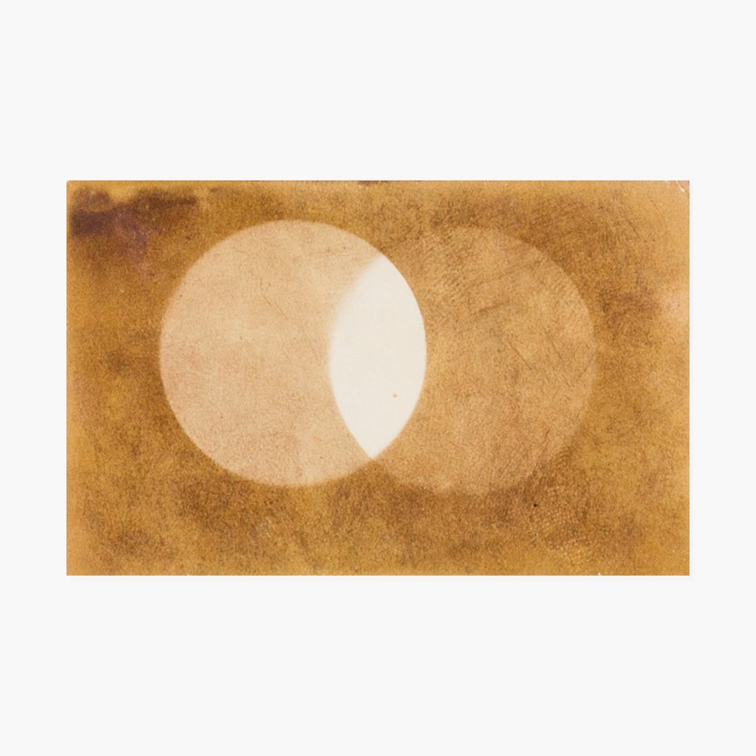 Anonymous, Photogram (1 of 3)