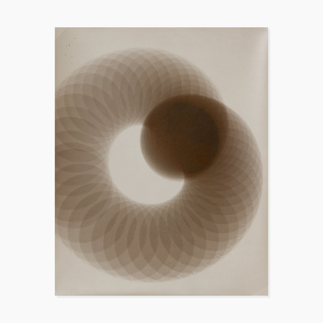 Anonymous, Photogram (1 of 2)