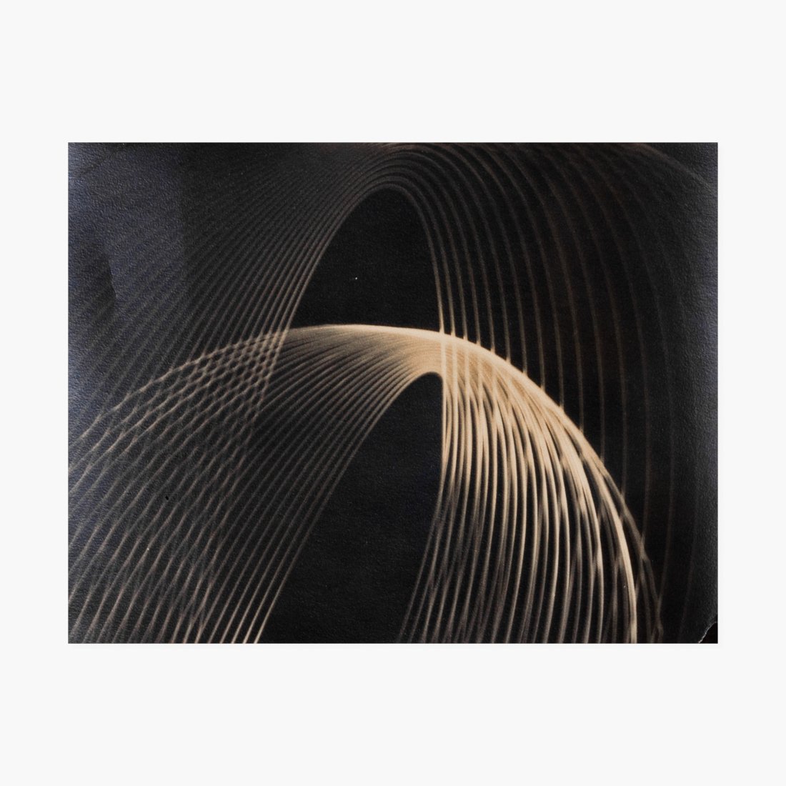 Anonymous, Photogram (1 of 2)