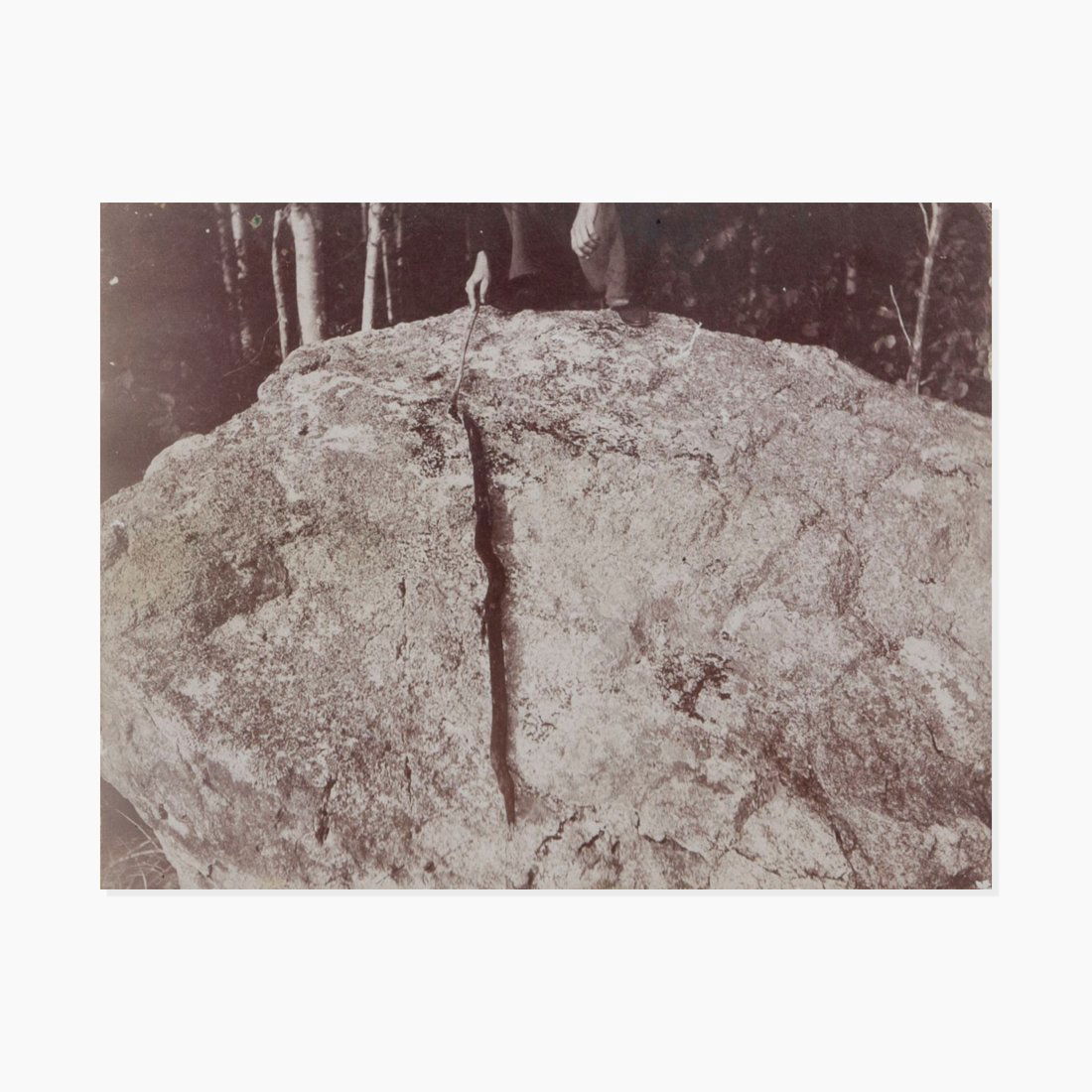 Anonymous, Snake On Rock (1 of 2)