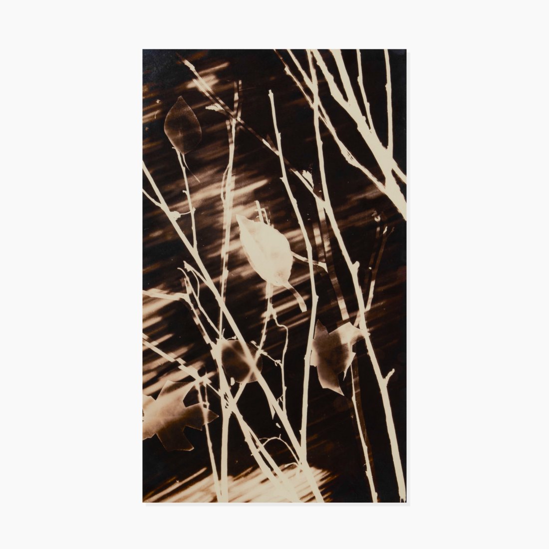 Varvara Rodchenko, Spring (1 of 3)