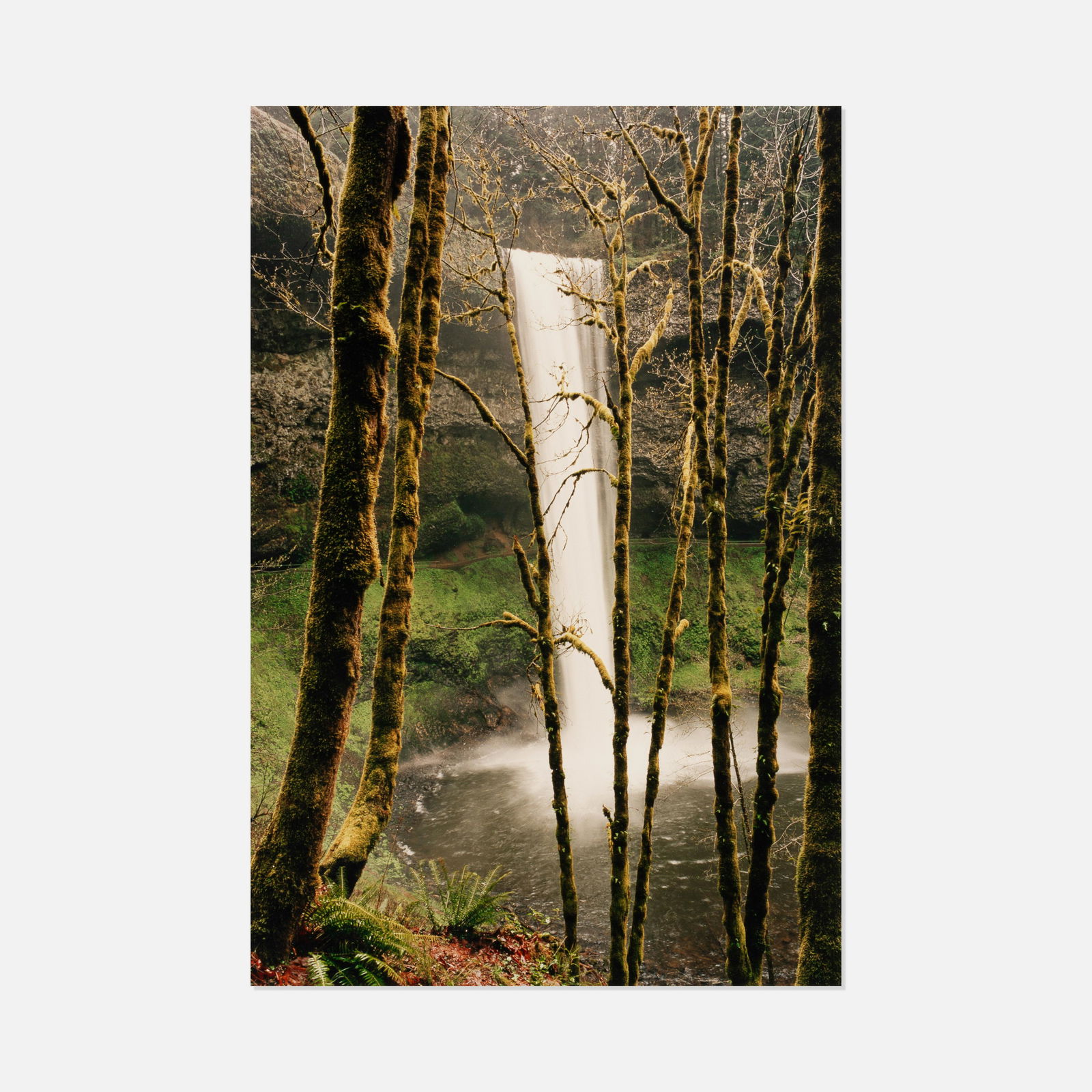 Len Jenshel, Silver Falls State Park: USA, 1995 c-print 20” x 16” Silver Falls State Park by Len Jenshel. Signed, titled, and dated in pen to verso [Len Jenshel South Falls, Silver Falls State Park, Oregon 1995]. Jenshel is kn
