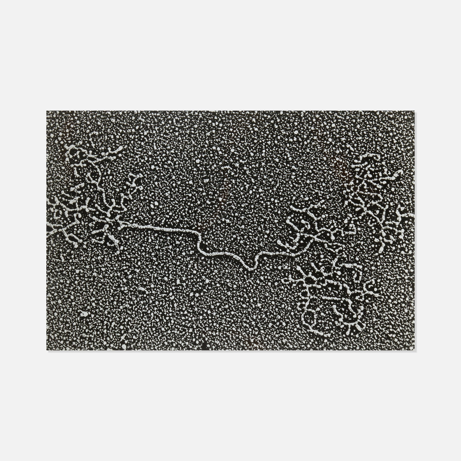 Enterprise Science Service, Untitled Photograph (Cellular System) (1 of 2)