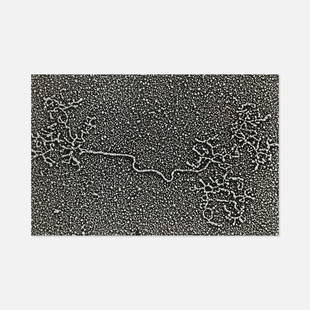 Enterprise Science Service, Untitled Photograph (Cellular System): USA, Mid 20th Century gelatin silver print 7 1/8&rdquo; x 6 3/4&rdquo; Photograph of unknown cellular system published by [ENTERPRISE SCIENCE SERVICE]. Tags: modern, modernist, modernism, photo, abstr