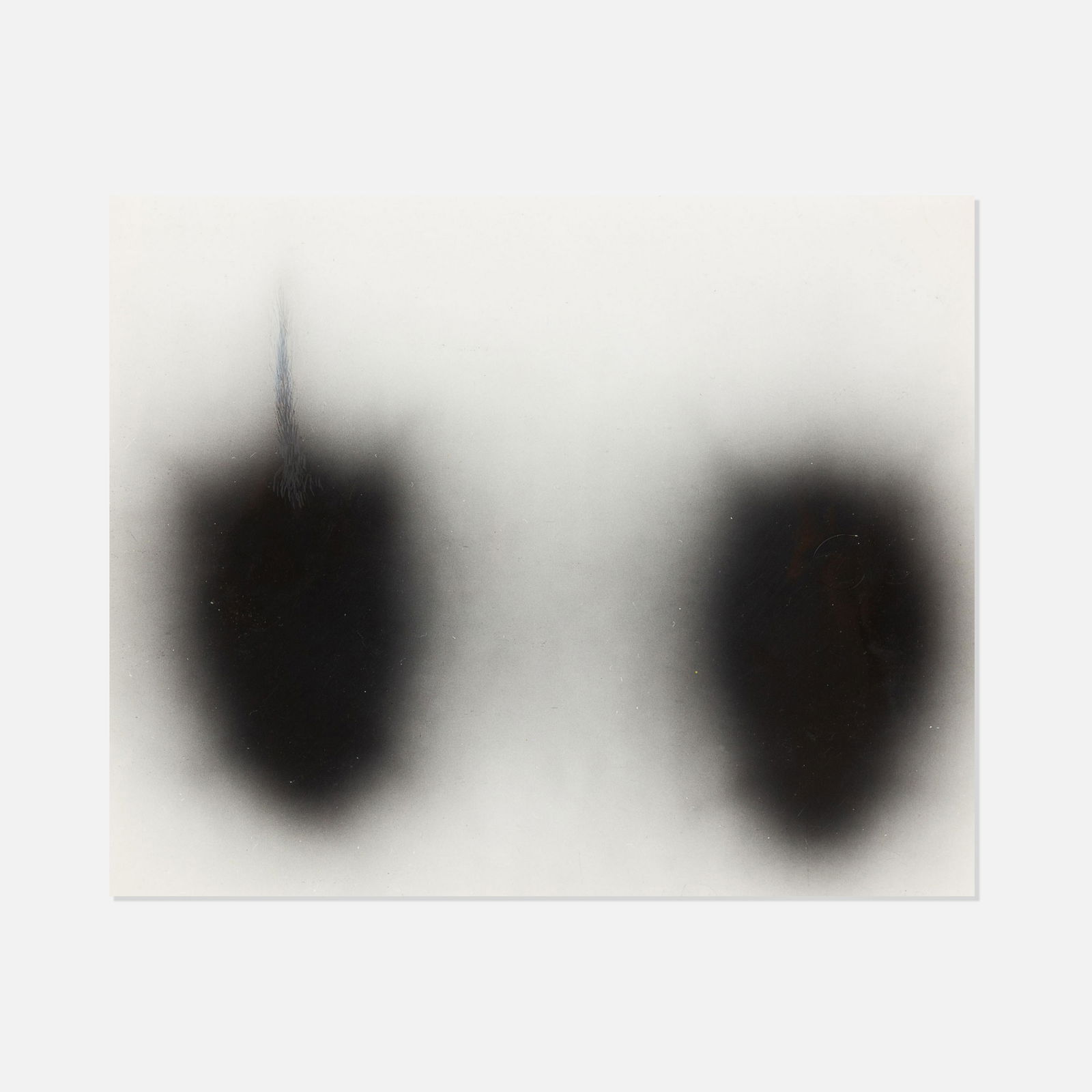 Scientific, Photograph (A Marrow Tail) (1 of 3)