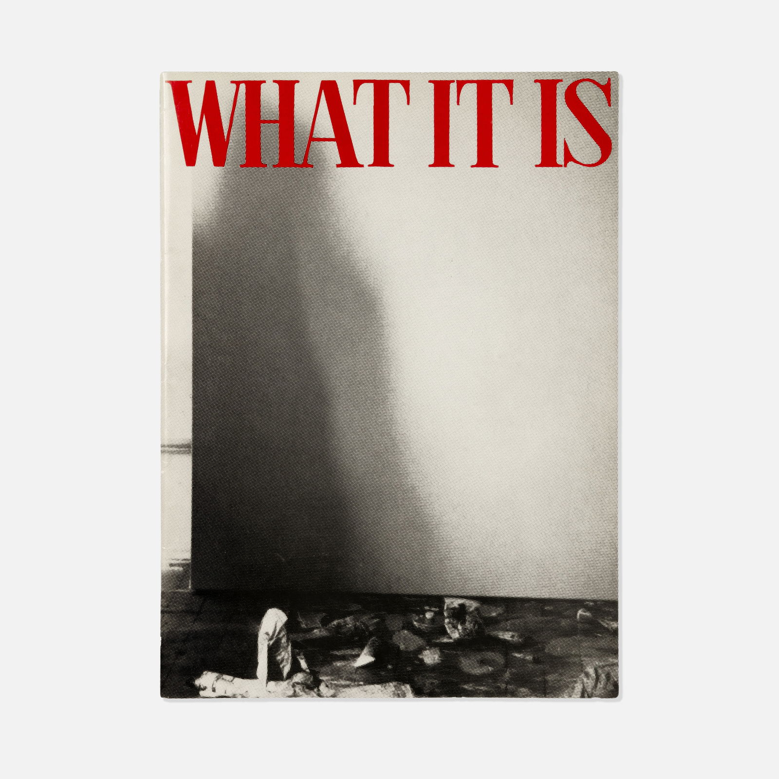 Tony Shafrazi Gallery, Wilfried Dickhoff, What It Is (1 of 1)