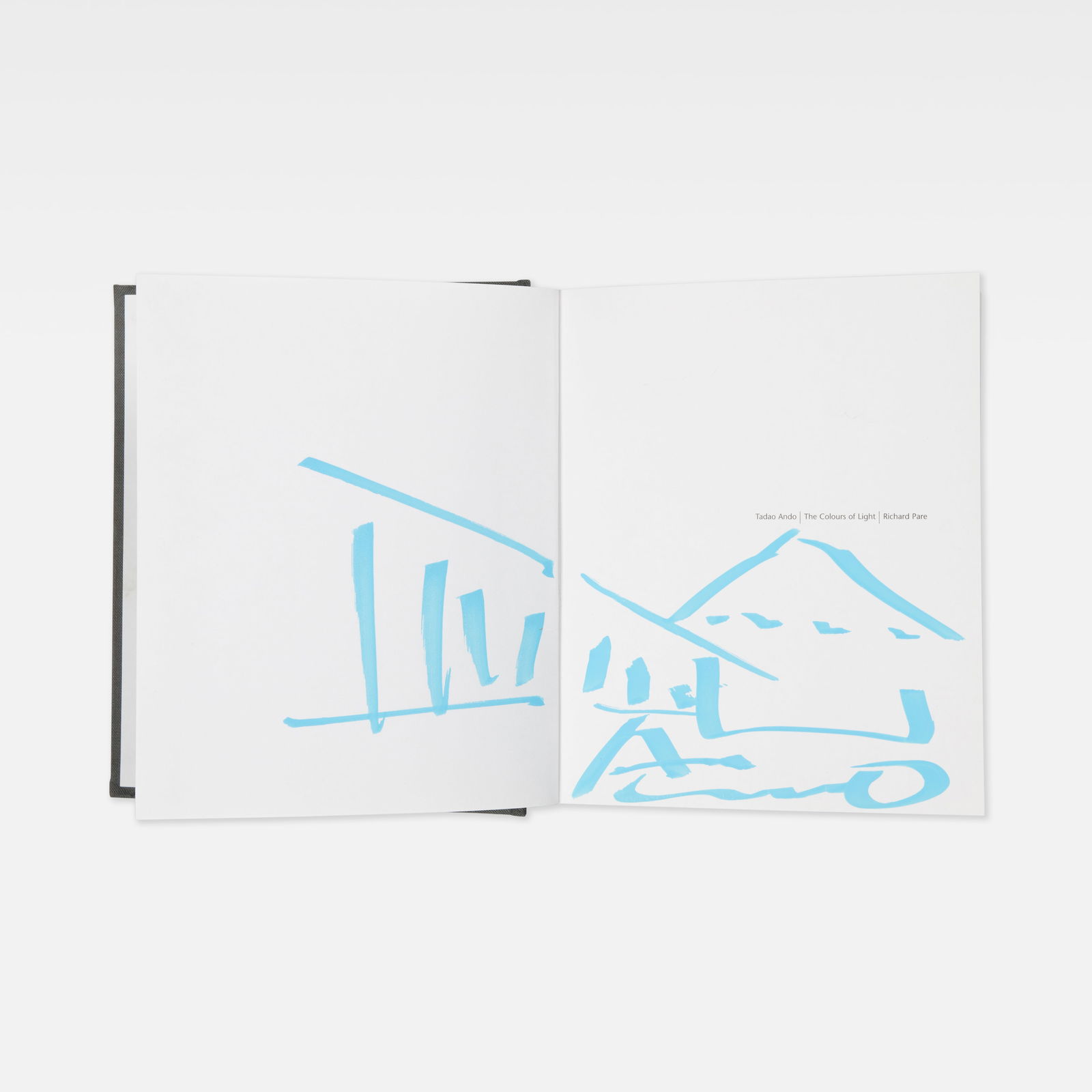 Tadao Ando, Richard Pare, The Colours of Light, Signed with Drawing: USA, 1996 6 1/2 x 5 5/8 x 1 1/4 in. printed matter, marker Tadao Ando: The Colours of Light by Richard Pare, published by Phaidon, 1996. Signed with architectural drawing by the artist to inside cover
