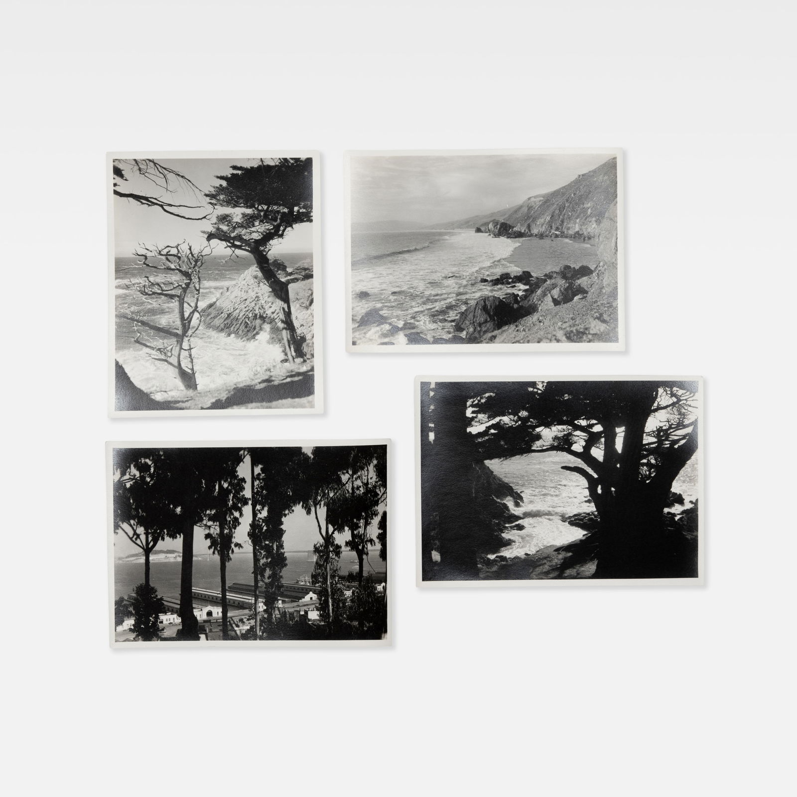 Anonymous, Photographs, Point Lobos (1 of 1)