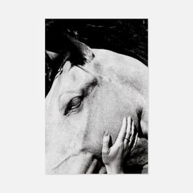 Ralph Gibson, Woman's Hand on Horse's Head