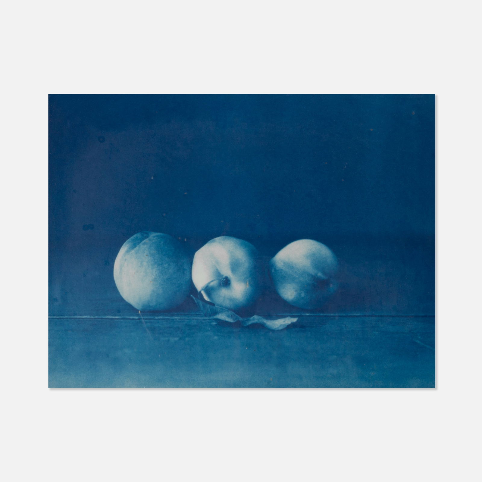 John Dugdale, Three White Peaches (1 of 2)