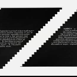 Joseph Kosuth, Titled (Art As Idea As Idea) [White]