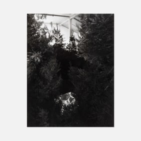 Bill Viola, Capp Street Project, Ben Blackwell, Sanctuary