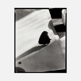 Edward Steichen, Diagram of Doom 2