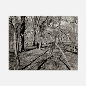 Harry Callahan, et al., Institute of Design, Student Independent 2 Portfolio