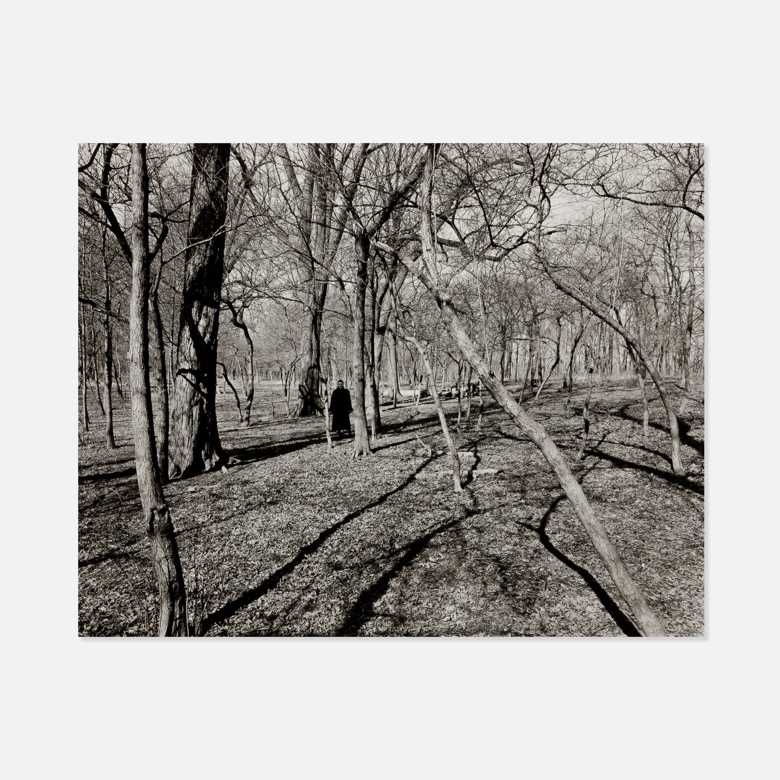 Harry Callahan, et al., Institute of Design, Student Independent 2 Portfolio (1 of 3)