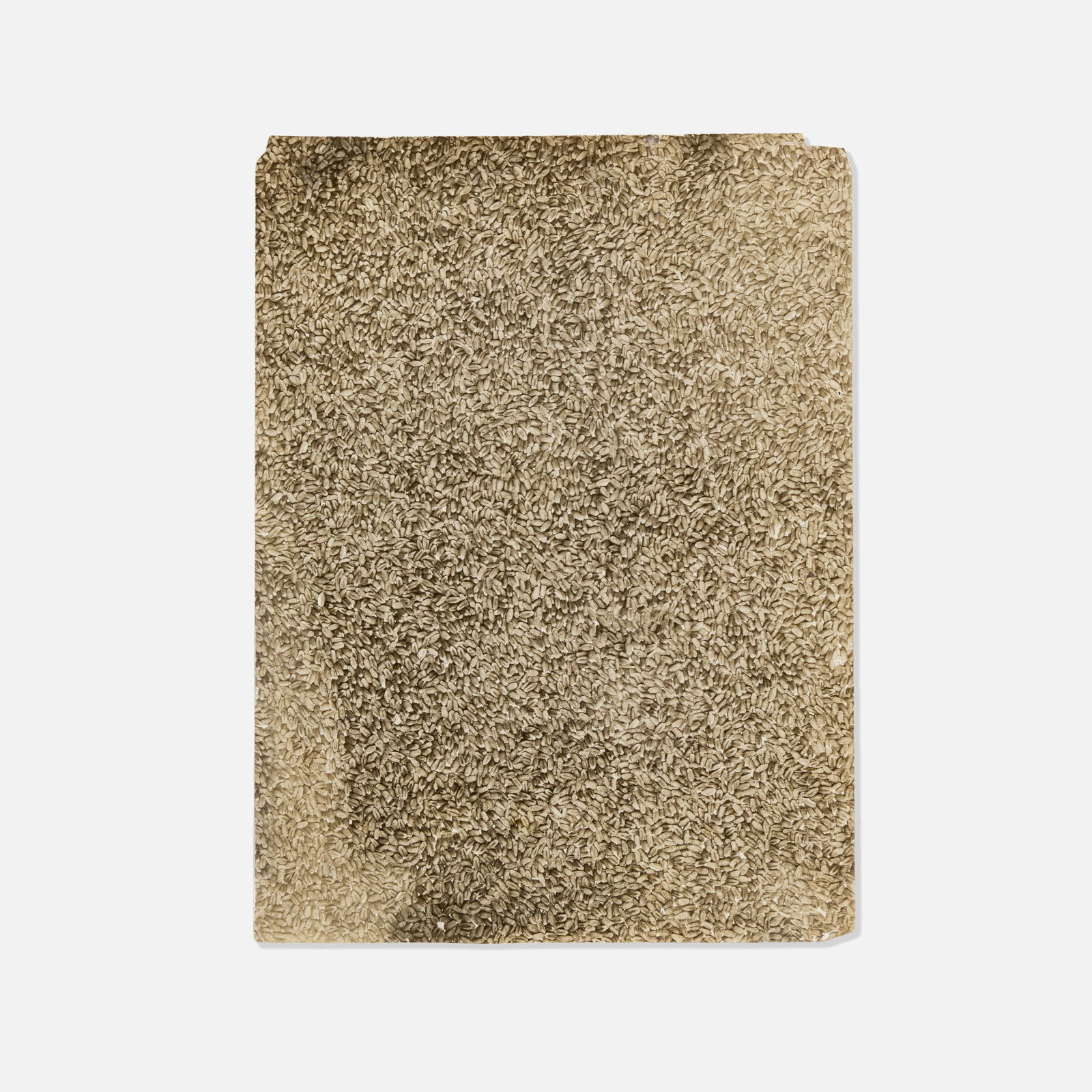 Anonymous, Photograph, Seed (1 of 1)