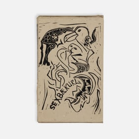 Kees Visser, Sexbaekur