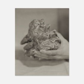 Victor Schrager, Untitled