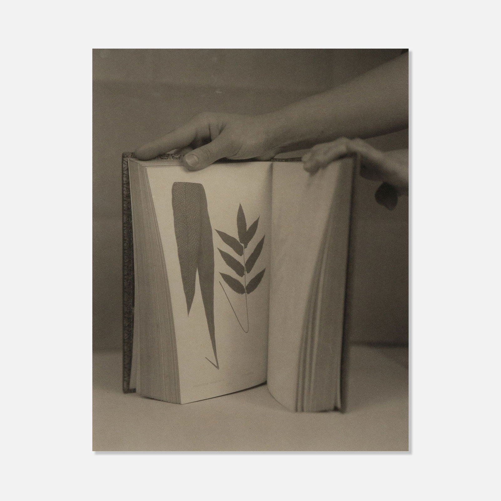 Victor Schrager, Untitled: USA, Late 20th century 17 5/8" x 15 1/2" frame 9 3/8" x 7 3/8" aperture platinum print Works from this sale will be moved offsite to our ancillary location in Treadwell, NY after September 29.