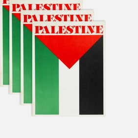 Protest, Thirty Pro-Palestine Flyers