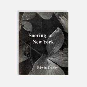 Edwin Denby, Snoring in New York