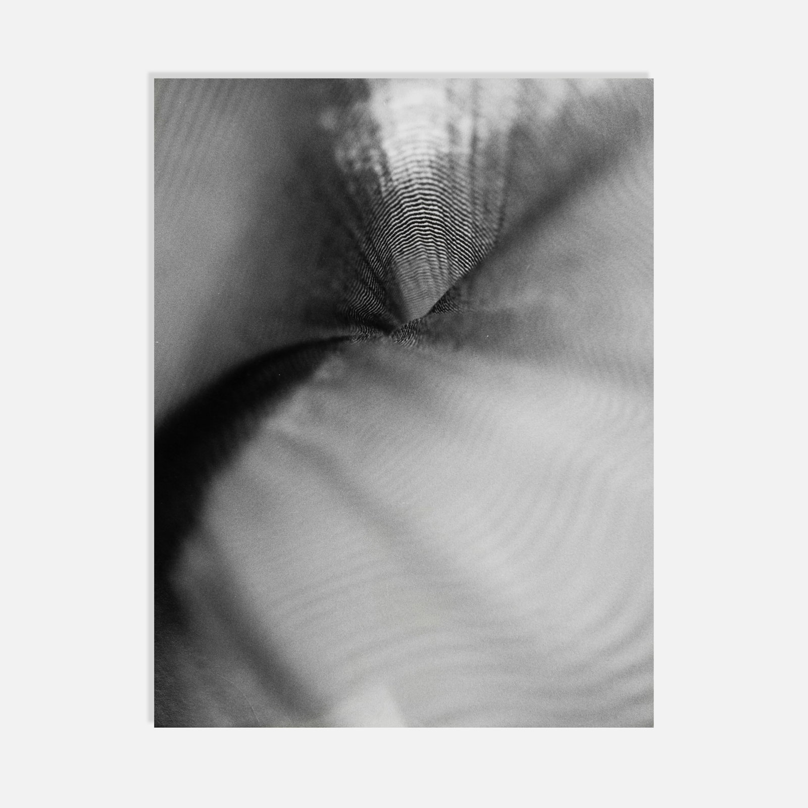 Anonymous, Abstract Photograph: USA, Mid 20th c. 14 x 11 board 9 7/8 x 7 1/2 actual gelatin silver print Pickup and shipping from Treadwell, NY. Alternative shipping options available upon request.