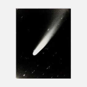 Anonymous, Comet Bennett