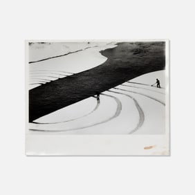 Dennis Oppenheim, John Gibson Gallery, Annual Rings Photograph