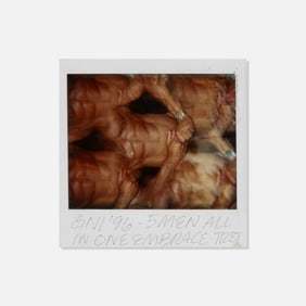 Anonymous, Polaroid