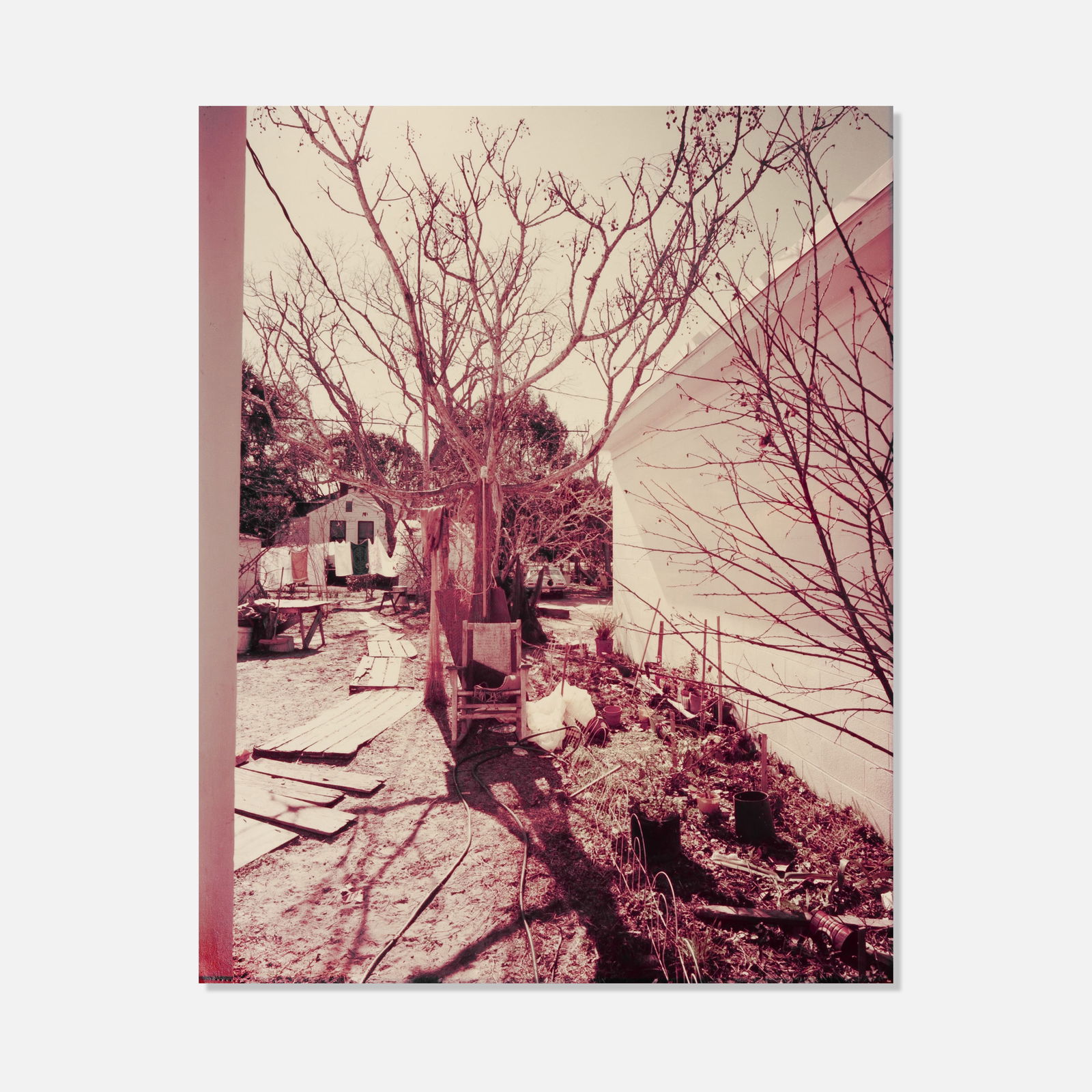 Stephen Shore, Backyard off US 98, Apalachicola, Florida (1 of 3)