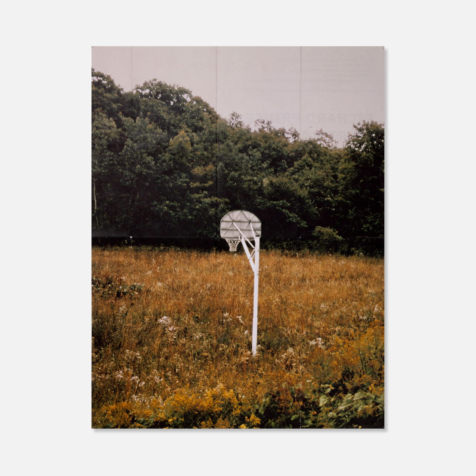 Richard Prince, Guggenheim Museum, Spiritual America Poster: USA, 2007 17” x 13” offset print Published on the occasion of the exhibition Spiritual America by Richard Prince at The Guggenheim. This item is located in our Treadwell, NY warehouse. Pic