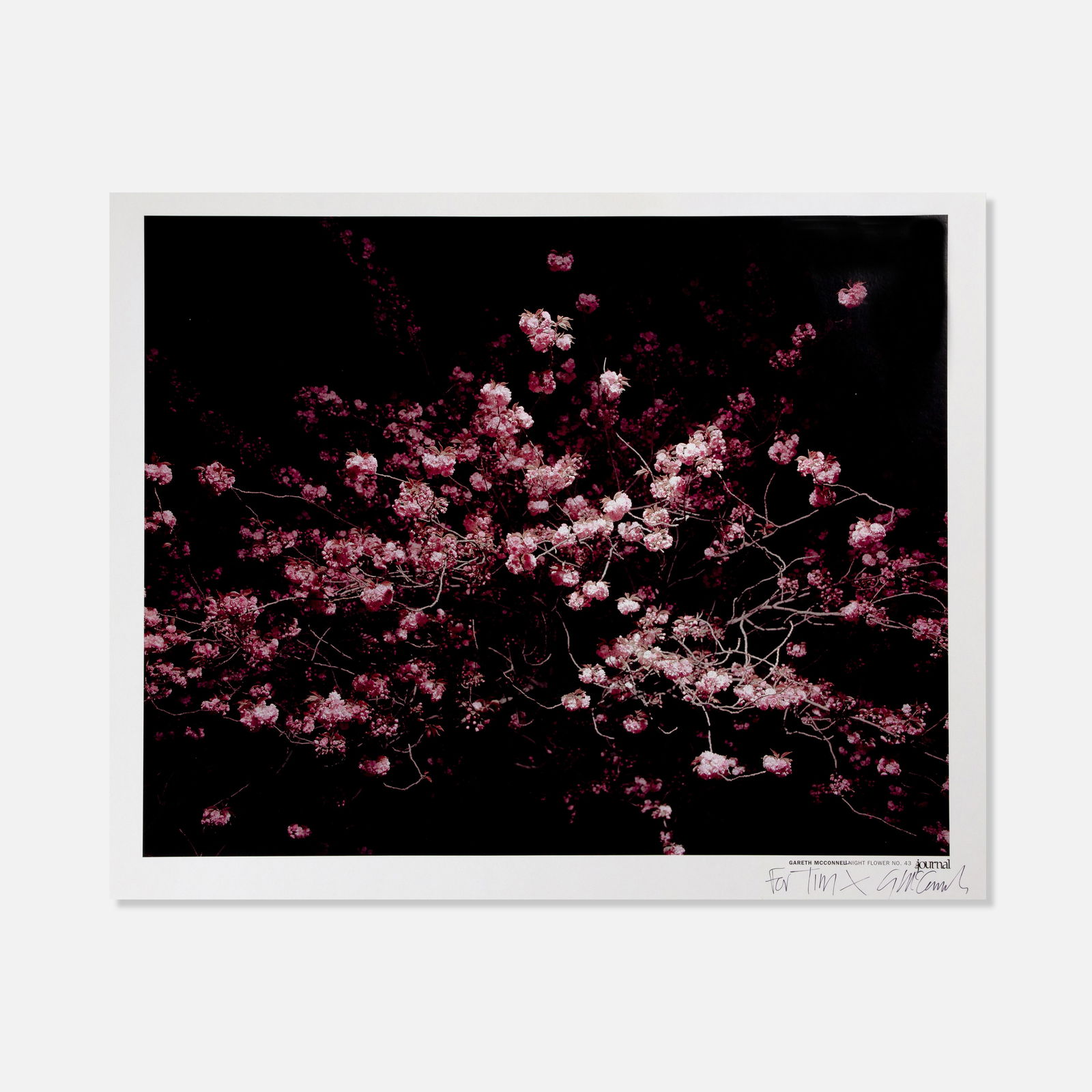 Gareth McConnell, The Journal, Night Flower No. 43, Signed and Inscribed (1 of 1)