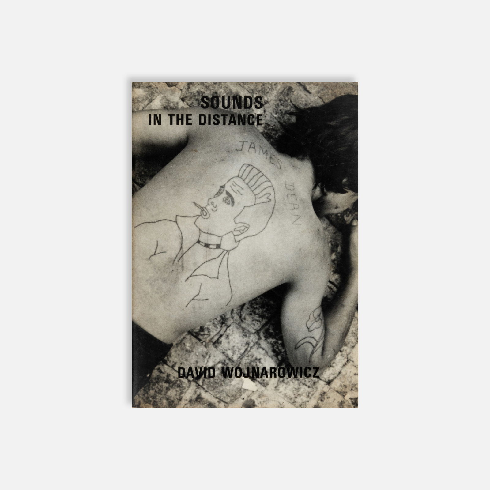 David Wojnarowicz, Sounds in the Distance (1 of 3)