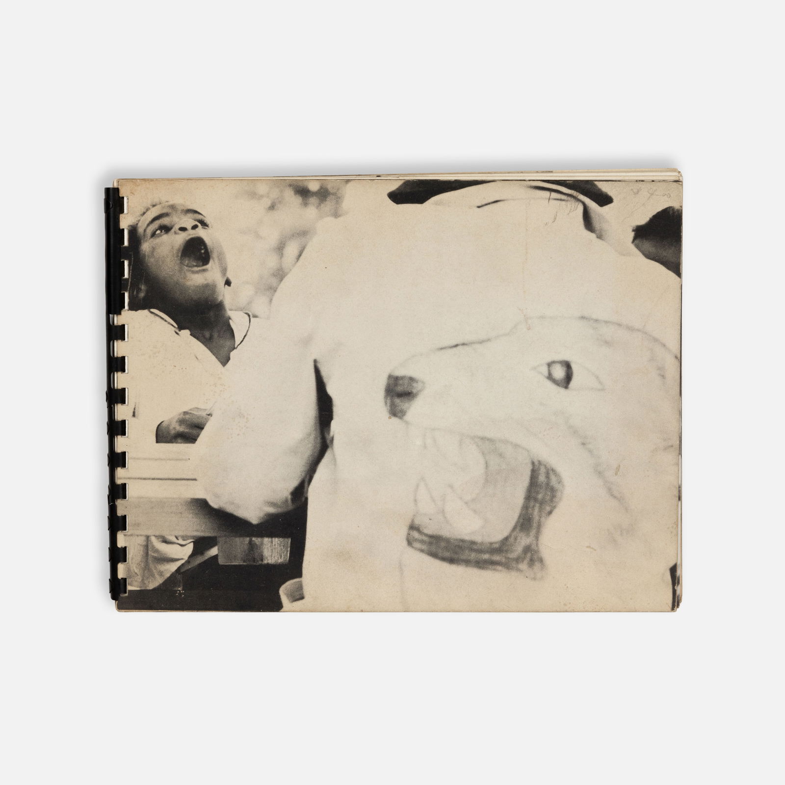 Jim Hansen & Lyle Linville, Tiger (1 of 4)