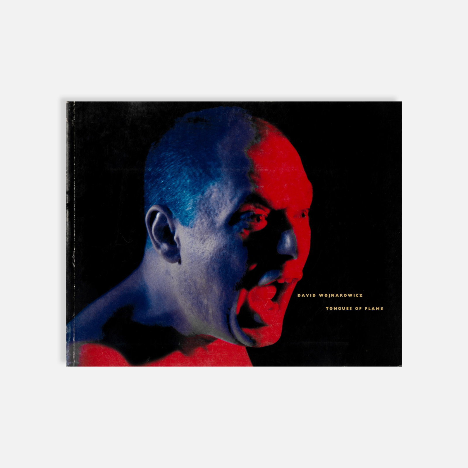 David Wojnarowicz, Tongues of Flame: USA, 1990 8 3/8" x 10 1/2" printed matter Published in conjunction with the landmark retrospective organized by the University Galleries of Illinois State University. Includes critical essays,