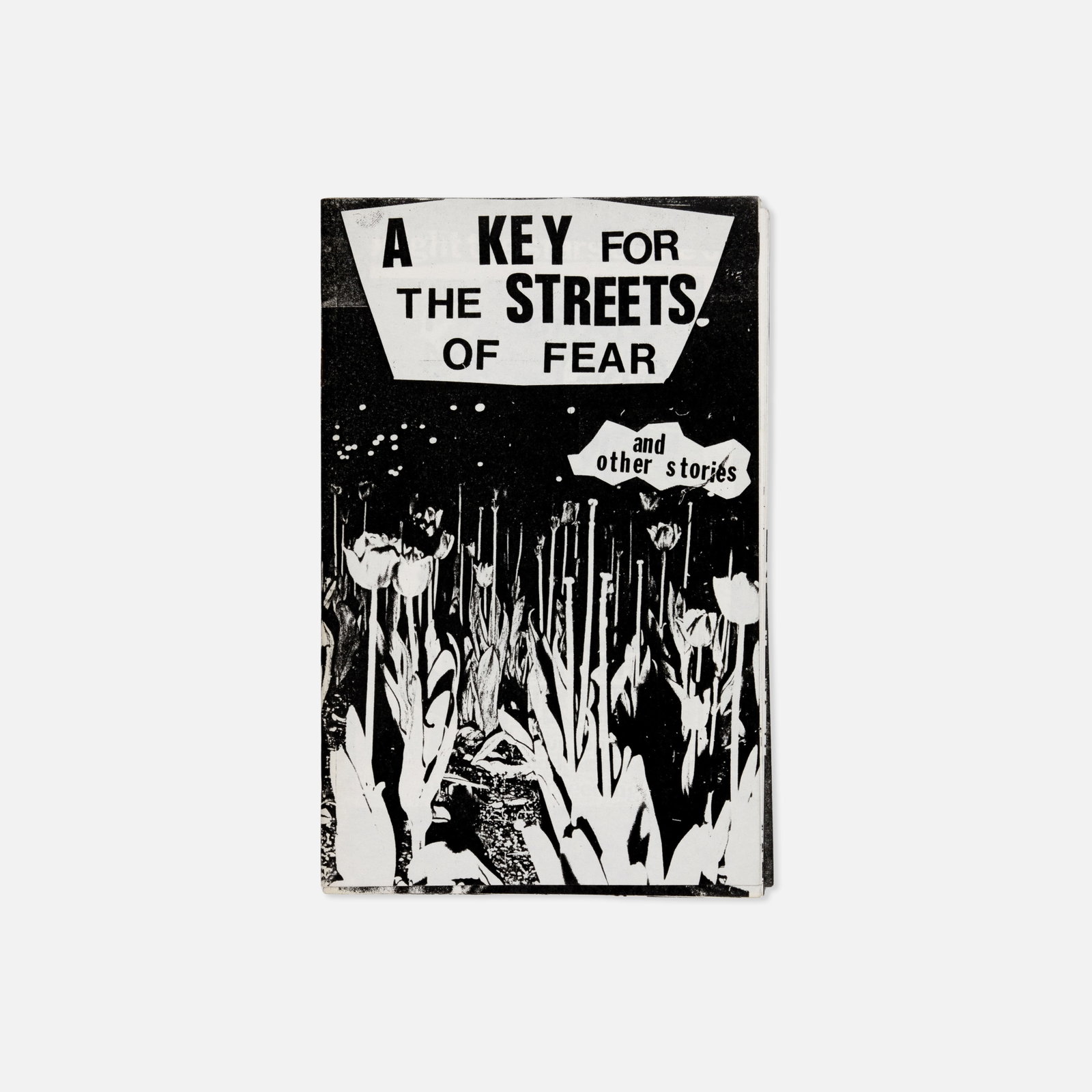 Richard Kern and M. Houston (Montana Hewson), A Key for The Streets of Fear and Other Stories (1 of 1)