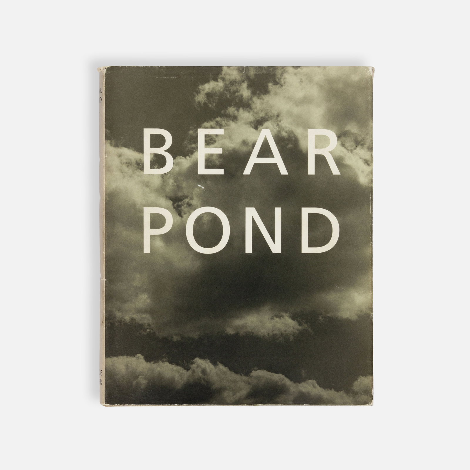 Bruce Weber, Bear Pond (1 of 1)