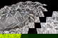 item-205437594=4