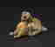 item-104173448=3