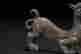 item-104173457=5