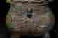 item-104173804=8