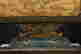 item-110000636=13