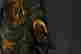 item-110000708=4