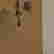 item-110000721=6