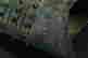 item-111582787=6