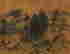 item-115148741=2